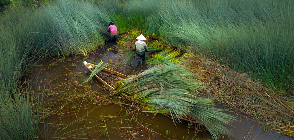 You are currently viewing Creating a Sustainable Time Management Methods Practice